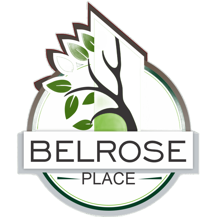 BR Logo